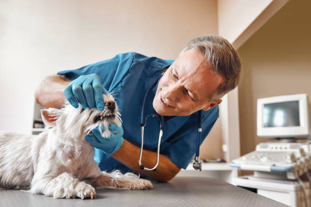 Best Emergency Wisdom Teeth Removal in Dunwoody, GA